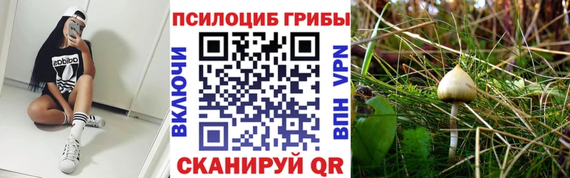 где купить наркоту  Раменское  Галлюциногенные грибы ЛСД 